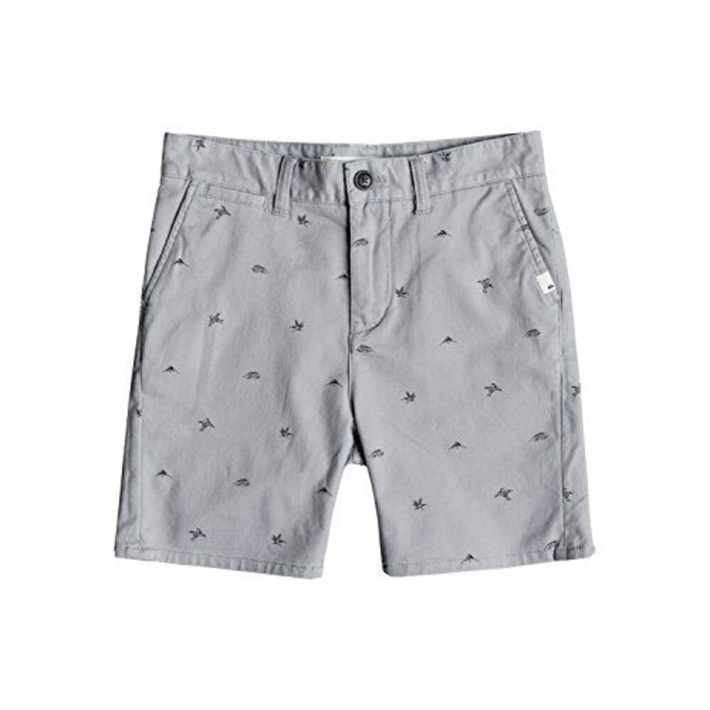 Quiksilver Big Boys Krandy Printed Shorts